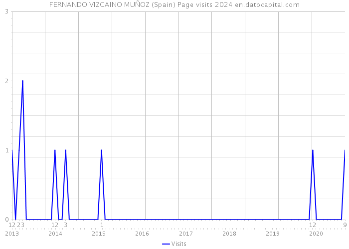 FERNANDO VIZCAINO MUÑOZ (Spain) Page visits 2024 