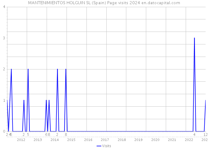 MANTENIMIENTOS HOLGUIN SL (Spain) Page visits 2024 