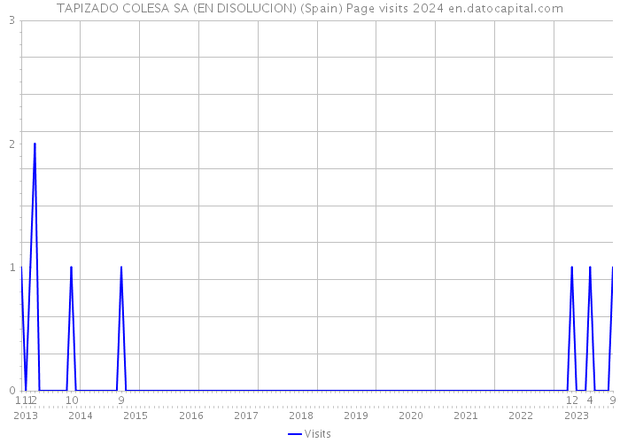 TAPIZADO COLESA SA (EN DISOLUCION) (Spain) Page visits 2024 