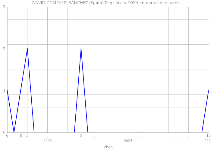 DAVID COMPANY SANCHEZ (Spain) Page visits 2024 