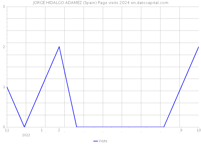 JORGE HIDALGO ADAMEZ (Spain) Page visits 2024 