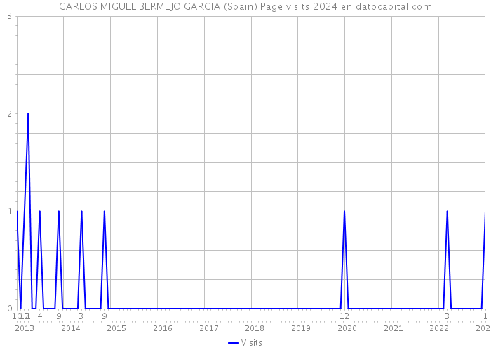 CARLOS MIGUEL BERMEJO GARCIA (Spain) Page visits 2024 