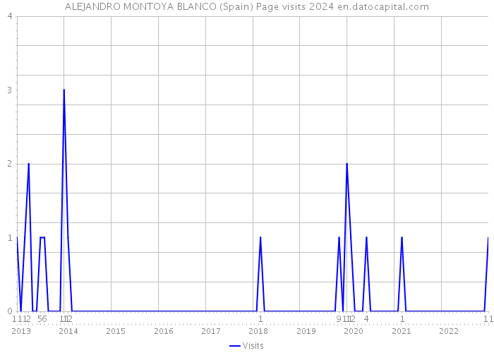 ALEJANDRO MONTOYA BLANCO (Spain) Page visits 2024 