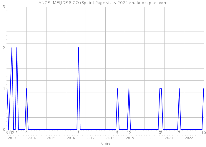 ANGEL MEIJIDE RICO (Spain) Page visits 2024 