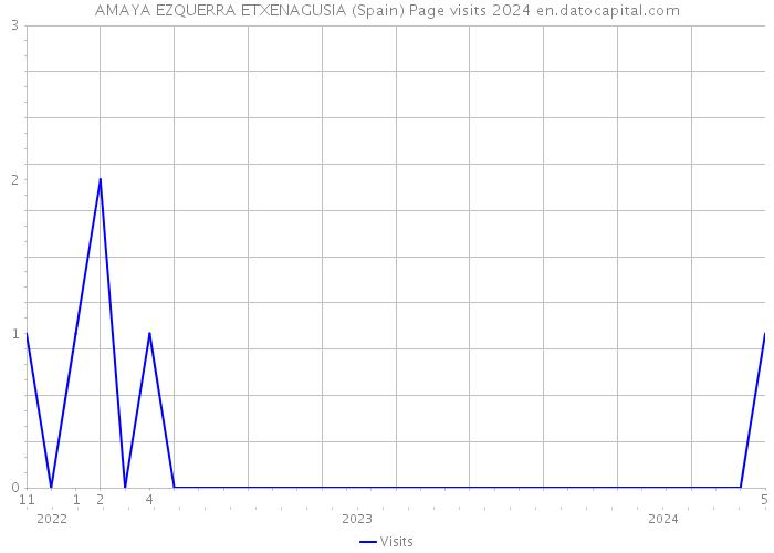 AMAYA EZQUERRA ETXENAGUSIA (Spain) Page visits 2024 