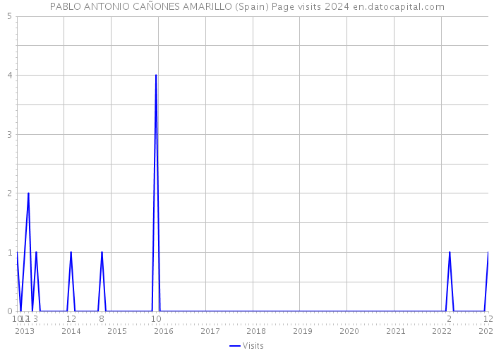 PABLO ANTONIO CAÑONES AMARILLO (Spain) Page visits 2024 