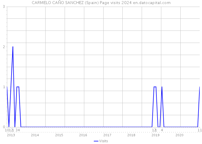 CARMELO CAÑO SANCHEZ (Spain) Page visits 2024 