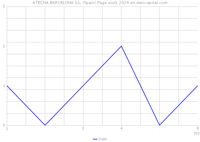 ATECNA BARCELONA S.L. (Spain) Page visits 2024 