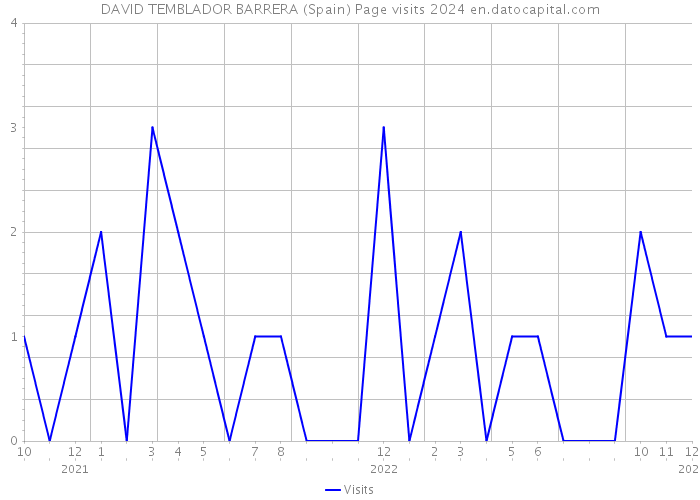 DAVID TEMBLADOR BARRERA (Spain) Page visits 2024 