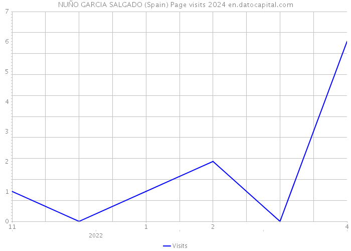 NUÑO GARCIA SALGADO (Spain) Page visits 2024 