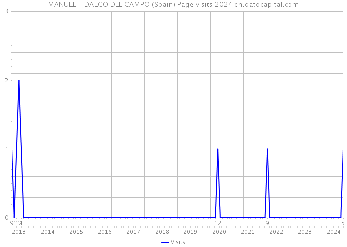 MANUEL FIDALGO DEL CAMPO (Spain) Page visits 2024 