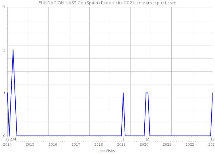 FUNDACION NASSICA (Spain) Page visits 2024 