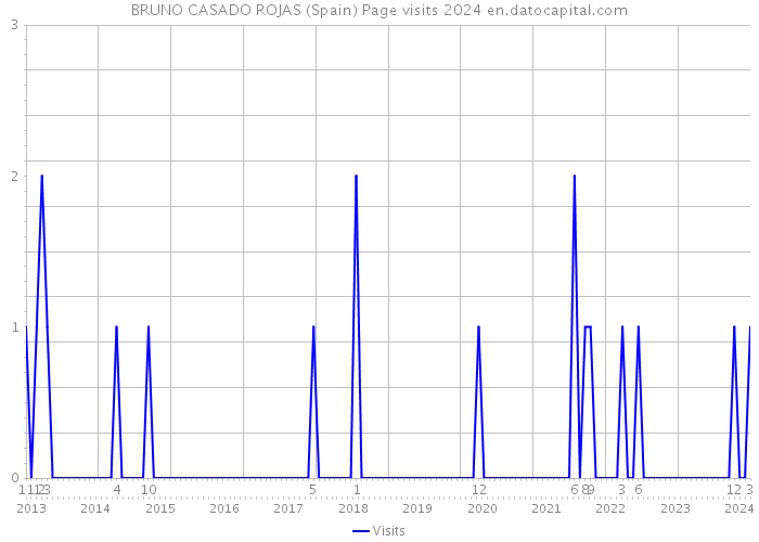 BRUNO CASADO ROJAS (Spain) Page visits 2024 