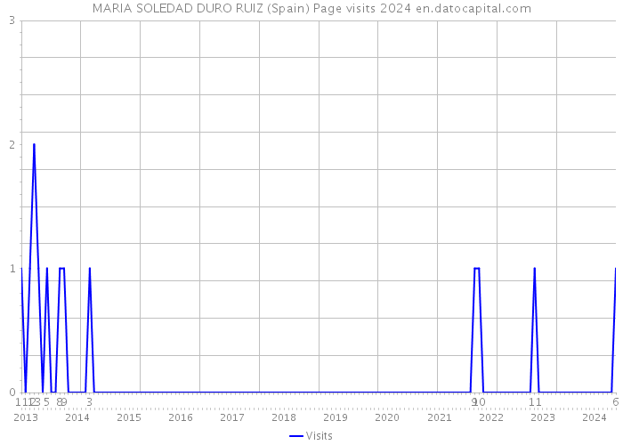 MARIA SOLEDAD DURO RUIZ (Spain) Page visits 2024 