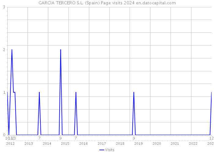 GARCIA TERCERO S.L. (Spain) Page visits 2024 