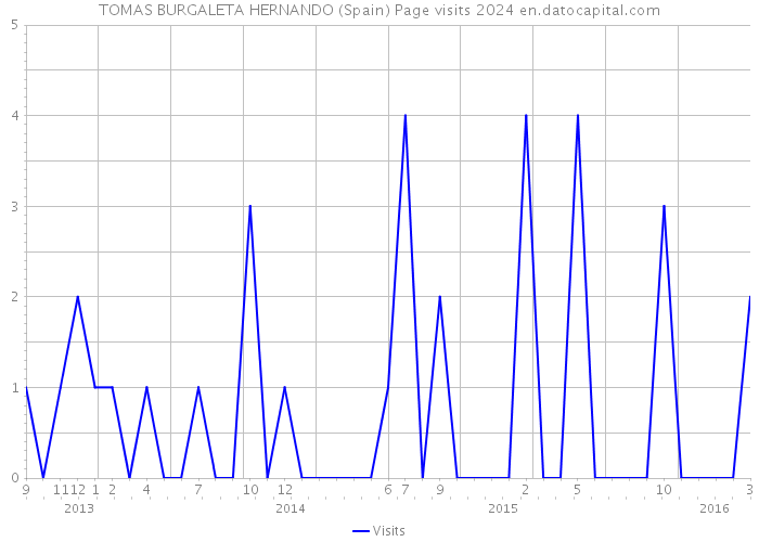 TOMAS BURGALETA HERNANDO (Spain) Page visits 2024 