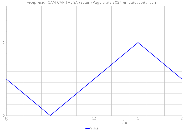 Vicepresid: CAM CAPITAL SA (Spain) Page visits 2024 