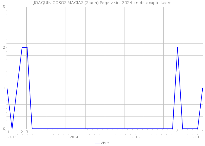 JOAQUIN COBOS MACIAS (Spain) Page visits 2024 