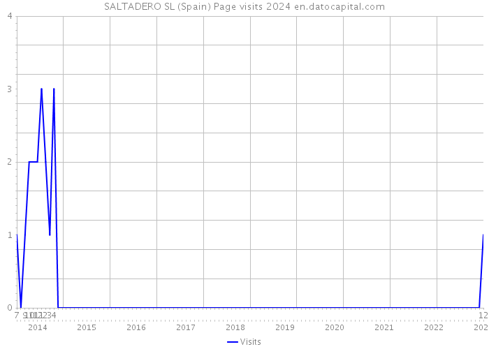 SALTADERO SL (Spain) Page visits 2024 