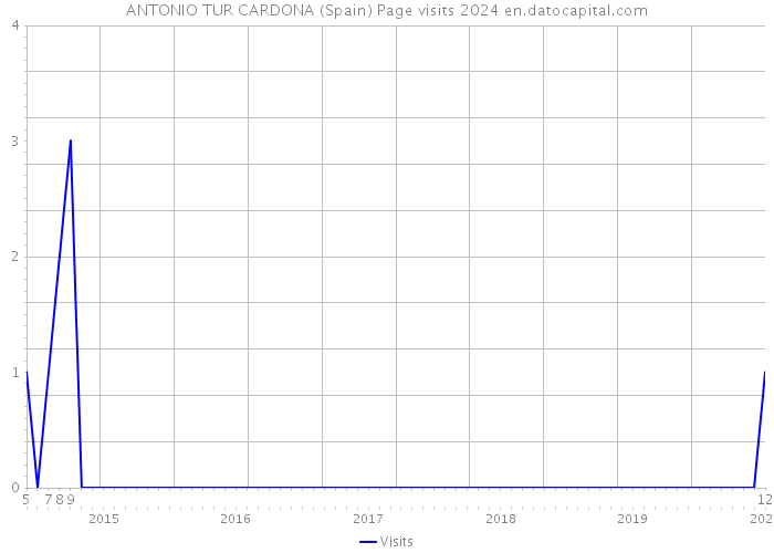 ANTONIO TUR CARDONA (Spain) Page visits 2024 