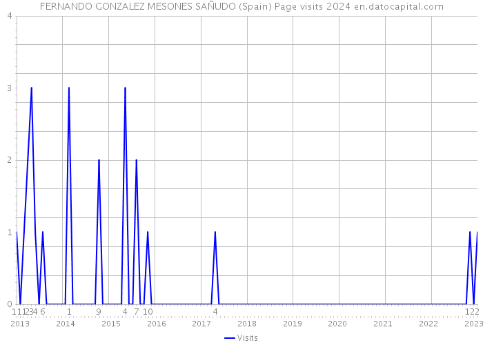 FERNANDO GONZALEZ MESONES SAÑUDO (Spain) Page visits 2024 