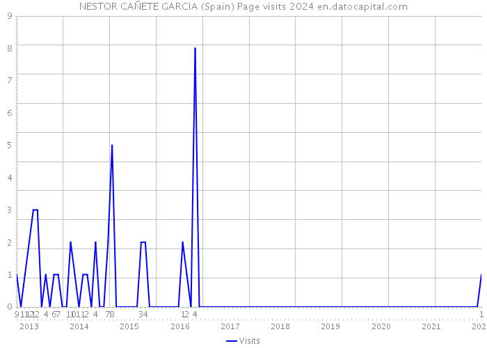 NESTOR CAÑETE GARCIA (Spain) Page visits 2024 