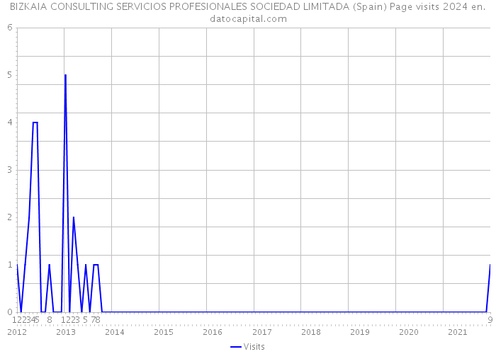 BIZKAIA CONSULTING SERVICIOS PROFESIONALES SOCIEDAD LIMITADA (Spain) Page visits 2024 