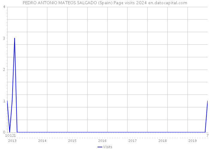 PEDRO ANTONIO MATEOS SALGADO (Spain) Page visits 2024 