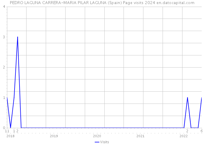 PEDRO LAGUNA CARRERA-MARIA PILAR LAGUNA (Spain) Page visits 2024 