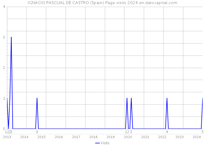 IGNACIO PASCUAL DE CASTRO (Spain) Page visits 2024 