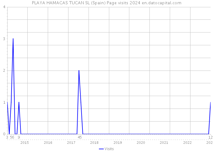 PLAYA HAMACAS TUCAN SL (Spain) Page visits 2024 