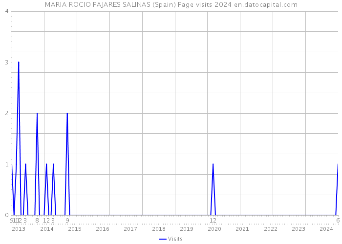 MARIA ROCIO PAJARES SALINAS (Spain) Page visits 2024 