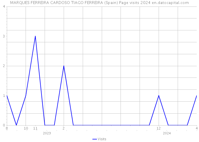 MARQUES FERREIRA CARDOSO TIAGO FERREIRA (Spain) Page visits 2024 