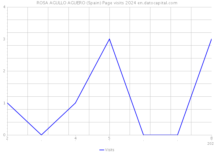 ROSA AGULLO AGUERO (Spain) Page visits 2024 