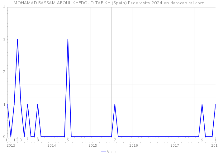 MOHAMAD BASSAM ABOUL KHEDOUD TABIKH (Spain) Page visits 2024 