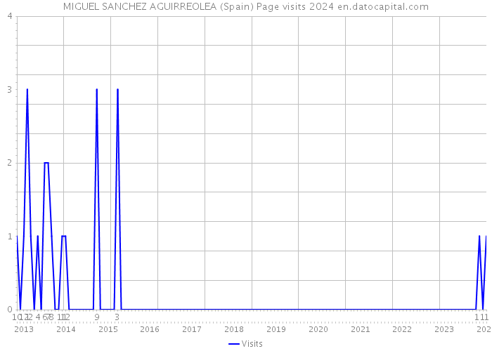 MIGUEL SANCHEZ AGUIRREOLEA (Spain) Page visits 2024 