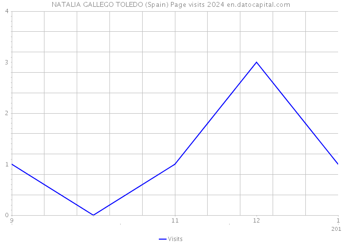 NATALIA GALLEGO TOLEDO (Spain) Page visits 2024 