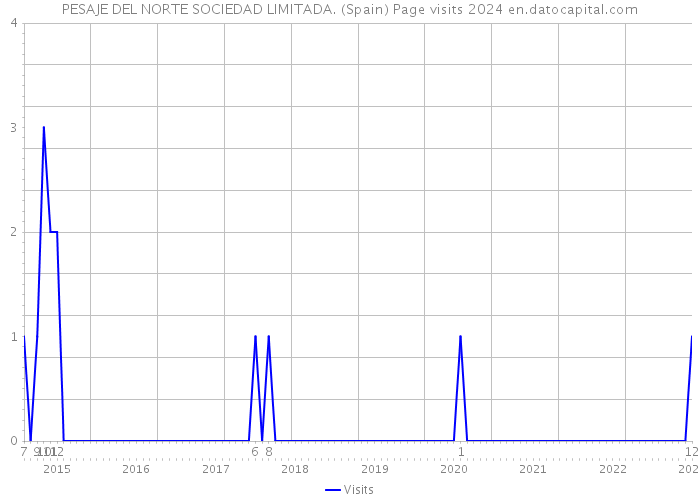 PESAJE DEL NORTE SOCIEDAD LIMITADA. (Spain) Page visits 2024 