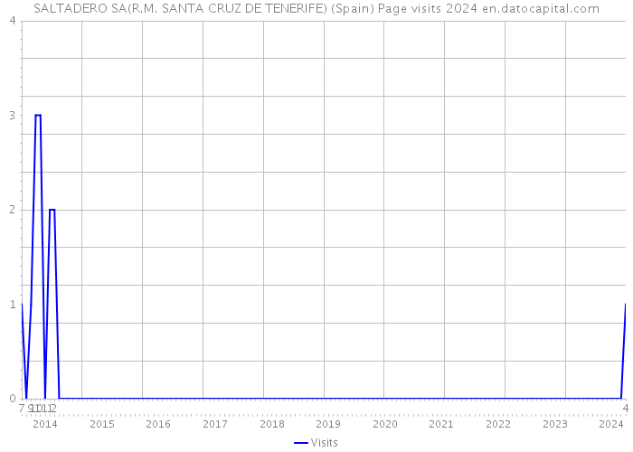 SALTADERO SA(R.M. SANTA CRUZ DE TENERIFE) (Spain) Page visits 2024 