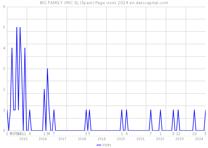 BIG FAMILY VMC SL (Spain) Page visits 2024 