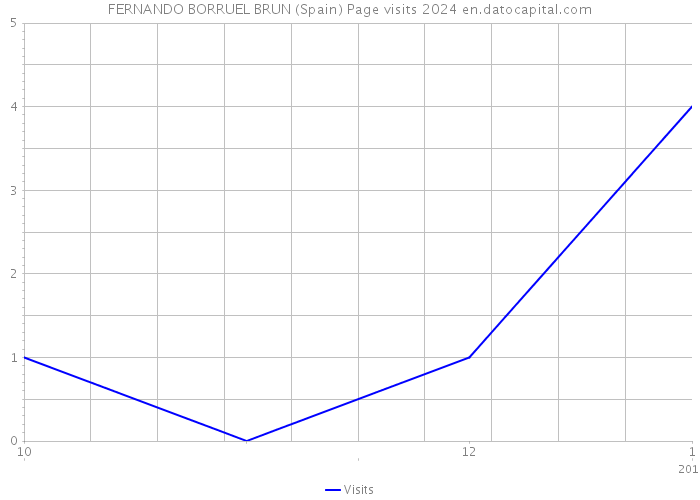 FERNANDO BORRUEL BRUN (Spain) Page visits 2024 