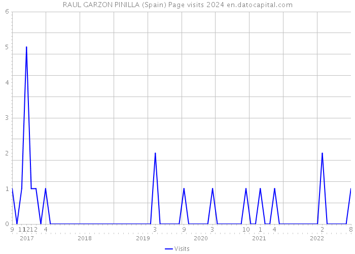 RAUL GARZON PINILLA (Spain) Page visits 2024 