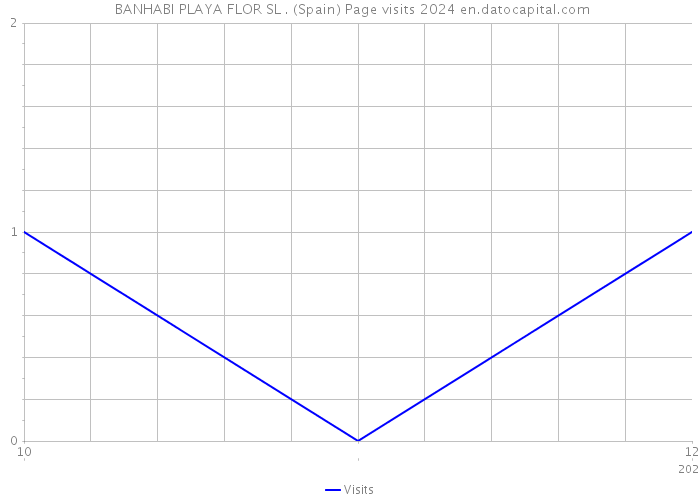  BANHABI PLAYA FLOR SL . (Spain) Page visits 2024 