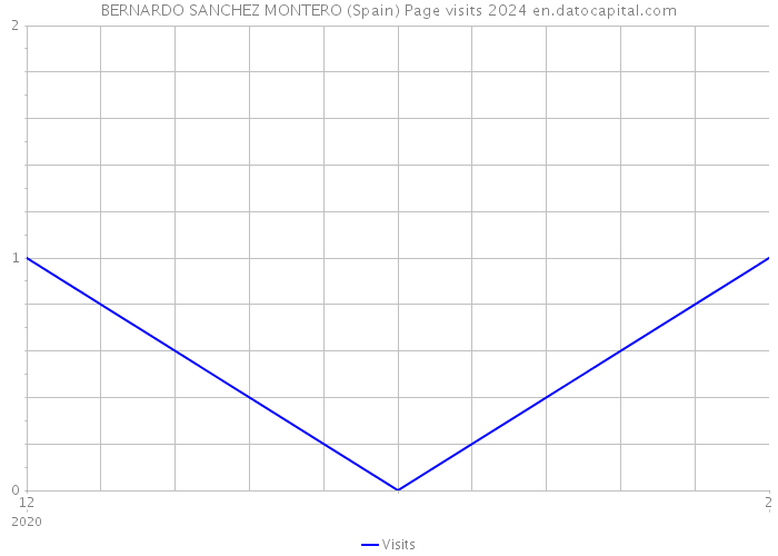 BERNARDO SANCHEZ MONTERO (Spain) Page visits 2024 