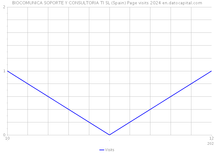 BIOCOMUNICA SOPORTE Y CONSULTORIA TI SL (Spain) Page visits 2024 