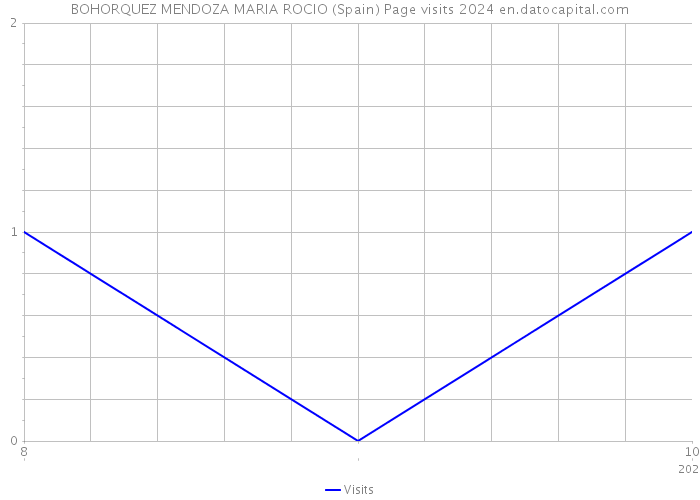 BOHORQUEZ MENDOZA MARIA ROCIO (Spain) Page visits 2024 