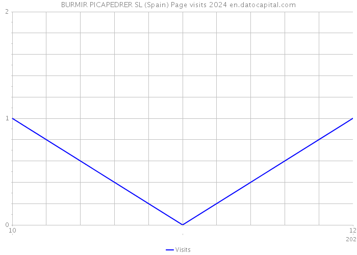 BURMIR PICAPEDRER SL (Spain) Page visits 2024 