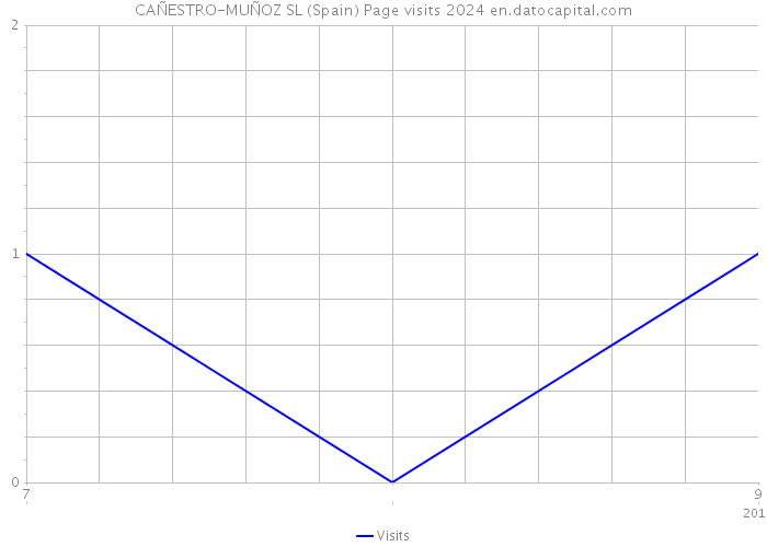 CAÑESTRO-MUÑOZ SL (Spain) Page visits 2024 