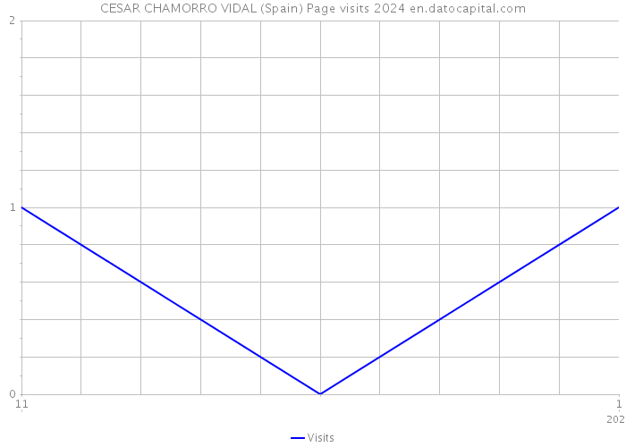 CESAR CHAMORRO VIDAL (Spain) Page visits 2024 