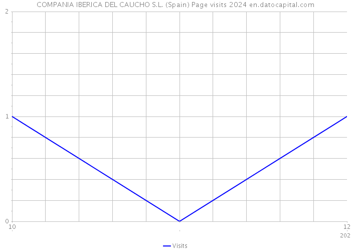 COMPANIA IBERICA DEL CAUCHO S.L. (Spain) Page visits 2024 
